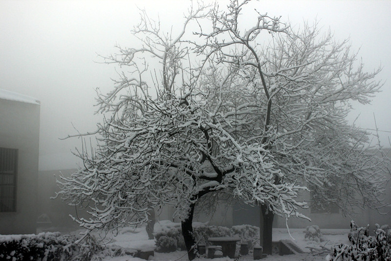 �¿ƏS�^ѩ��